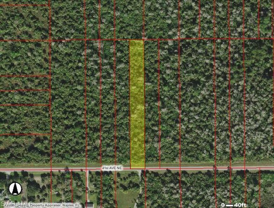 Price is REDUCED. Seller wants an offer. Design a fabulous custom dream home on 1.14 acres of land surrounded by lush green vistas. This is a dream lifestyle waiting to be created. Normally, 2 large animals are allowed per acre. Located on the NE corner of Wilson Blvd. and 41st Ave. NE. Immokolee Rd. turns just before property so this lot is West of Immokalee Rd. Will consider all offers. CALL TODAY!