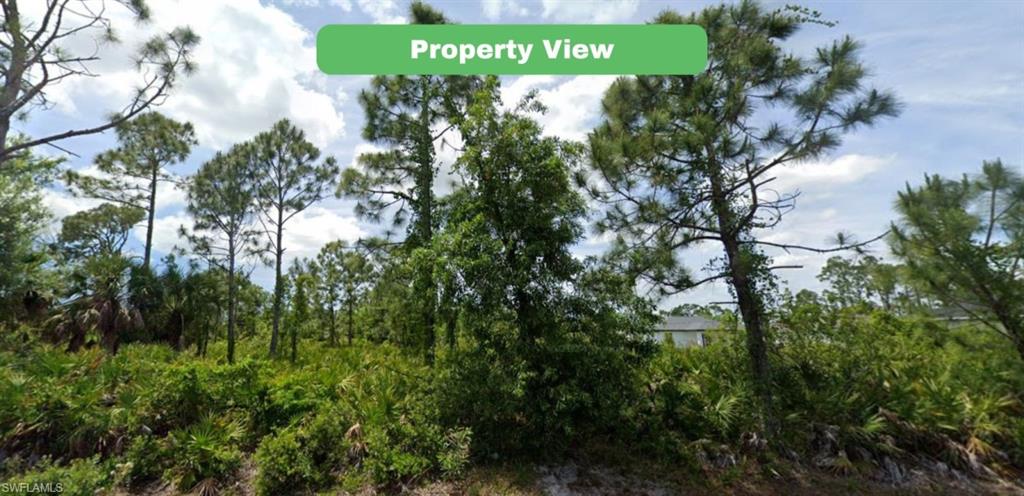 PORT CHARLOTTE - Land