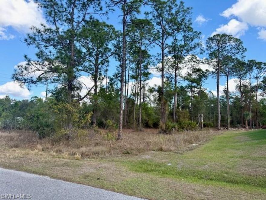 Come Build Your Dream Home and enjoy Peace on this 0.50/Acre homesite in one of the fastest growing markets in SW Florida. This is a Corner Lot and it is close to Shopping, Schools and provides easy access to downtown Lehigh Acres and State Road 80 aka Palm Beach Blvd. There are newer homes in the immediate area! Drive by and take a look for yourself or contact your agent today! Affordable Living in SW Florida! You can use Crypto to purchase this property, ask your agent how!