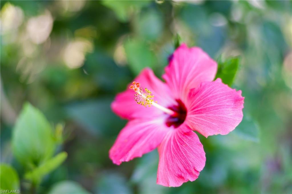 REFLECTION ISLES - Residential