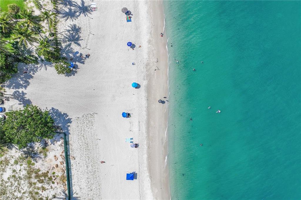 ARBORESQUE - Residential