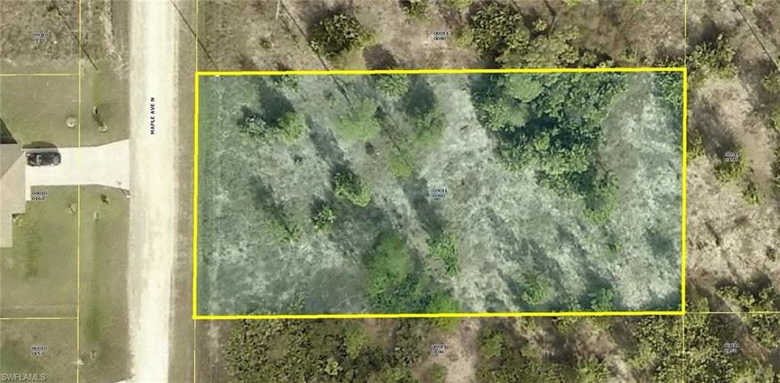 Really nice mostly cleared high and dry generous over-sized (width 105' x 210' deep +/- ... 1/2 acre plus) home-site in a very quiet area of LEHIGH ACRES on a newly paved road. This property is mostly clear with a few thinned pine trees and a few low young trees, with low secondary growth/grasses with Eastern views at the rear of the home-site with quick and easy access to Joel Boulevard and State Road 80 (Palm Beach Boulevard) and/or Lee Boulevard close to shopping and services. Western views facing the street. Build your dream or vacation home now and/or save this special area oversize home-site for later. Don't miss this unique opportunity to purchase this lot for only $8,995 with SELLER DIRECT FINANCING (US) with $0 (ZERO) down, no job and/or no credit check or income verification for ONLY $98.00 per month payment. Personal checks OK. Call today... you'll be so glad you did...