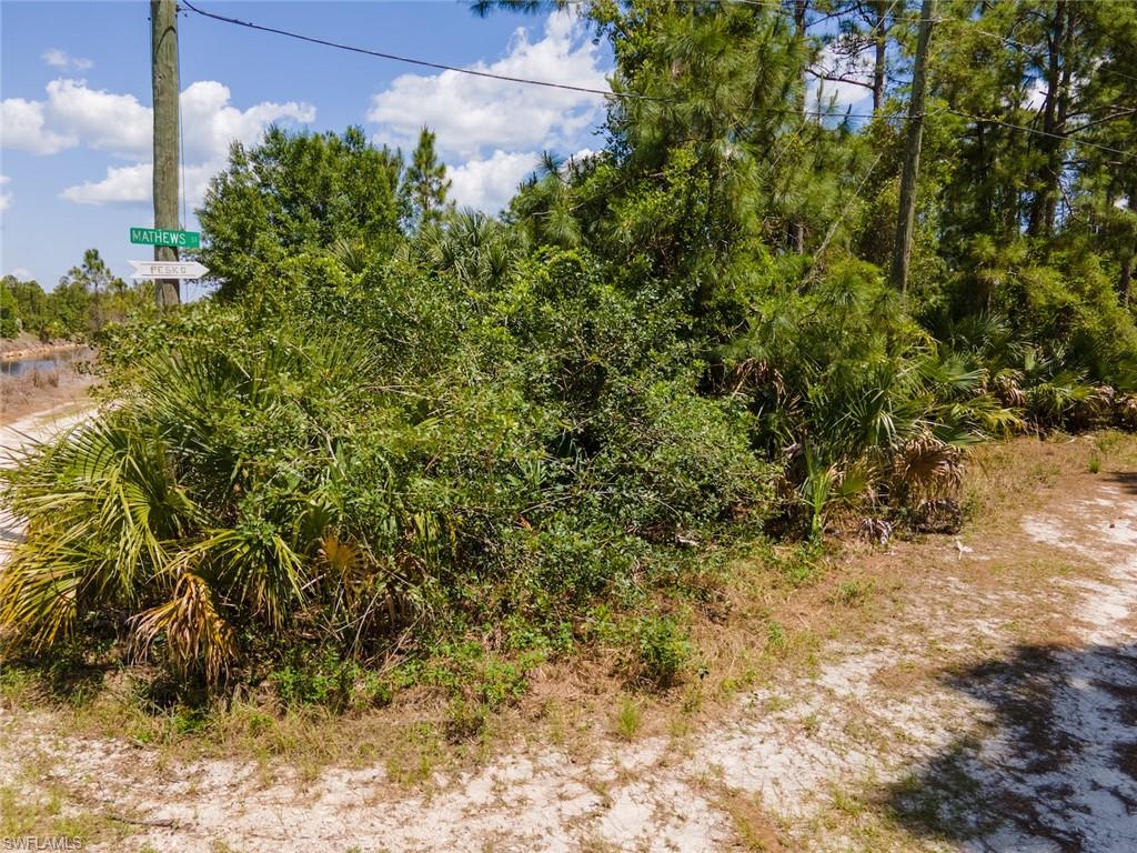 ACREAGE HEADER - Land