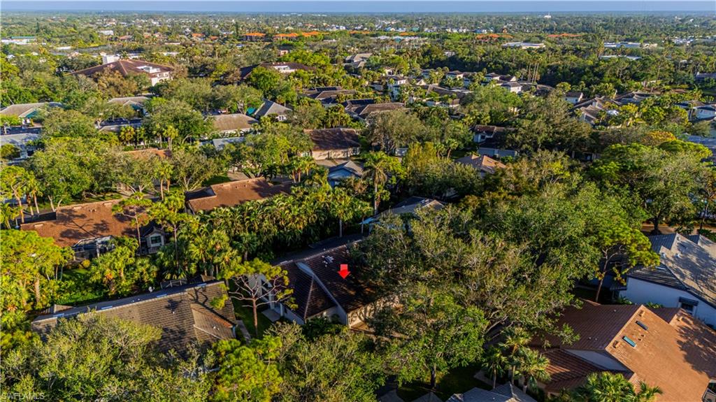 BURNING TREE - Residential