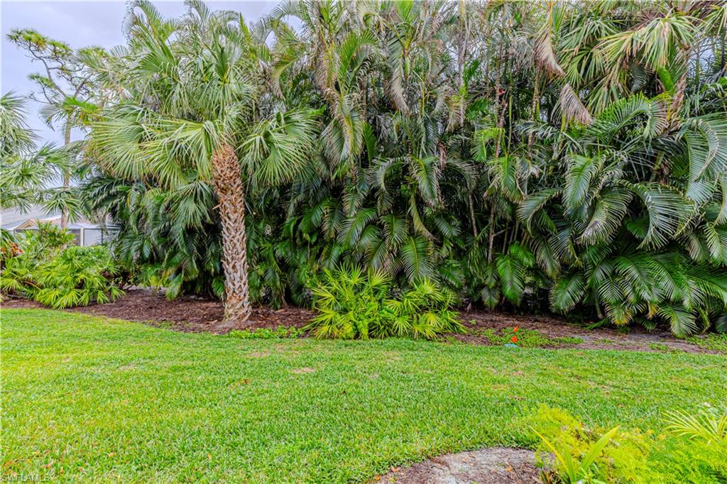 BURNING TREE - Residential