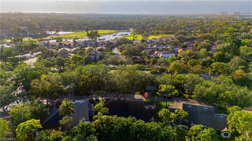 BURNING TREE - Residential