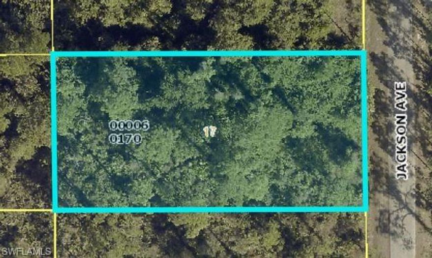 Build your dream home on this 1/2-acre parcel in Lehigh Acres. It is perfect for a custom home or investment opportunity. Prime location in one of the fastest growing areas of Lehigh.