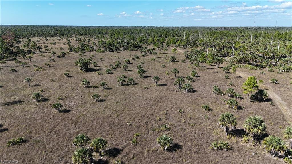 NORTH BELLE MEADE - Land