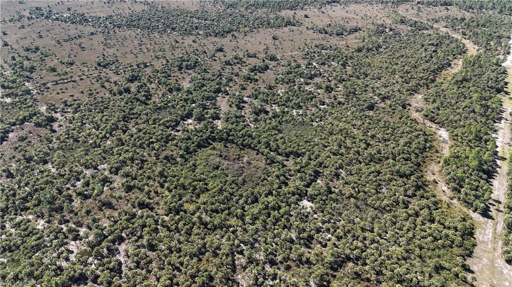 NORTH BELLE MEADE - Land