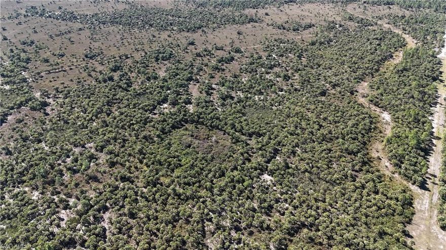 Parcel ID 00353120006 includes approximately 40 acres in a rural location suited for recreational use or long-term land ownership. The property features a combination of upland and wetland terrain, creating a diverse landscape with multiple considerations for land use. Buyers should complete their own due diligence regarding access, zoning, environmental characteristics, and permitted activities. Higher ground within the tract may offer locations suitable for a camp or off-grid recreational use, subject to local and state permitting requirements. Lower-lying areas function as natural water retention zones and contribute to wildlife habitat. The varied terrain supports consistent wildlife movement and may be suitable for hunting, wildlife observation, or other outdoor activities where permitted. No utilities are represented on the property. Buyers are responsible for verifying access, easements, and any utility options. Alternative power sources such as solar or generator systems may be considered depending on regulations and site conditions. Any proposed improvements should be reviewed with the appropriate agencies prior to development. This property may appeal to those seeking undeveloped acreage for outdoor recreation or land ownership purposes. Access conditions, road maintenance responsibilities, wetland boundaries, flood considerations, and environmental restrictions should be evaluated as part of the buyer’s due diligence process. Overall, this tract offers undeveloped land with varied natural features in a rural setting. Prospective buyers are encouraged to consult surveyors, environmental professionals, and local authorities to fully understand the property and allowable uses before purchase.