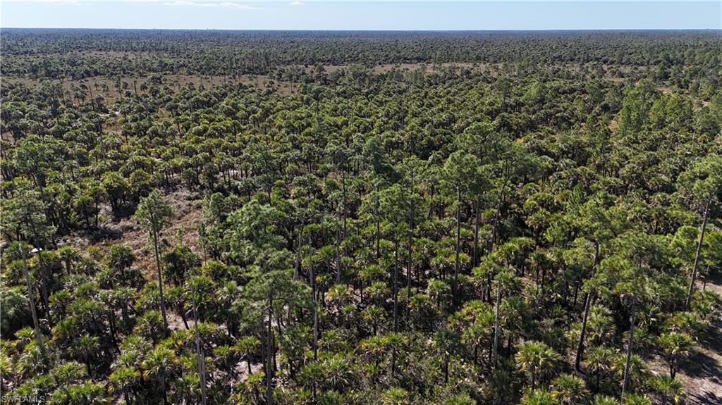 NORTH BELLE MEADE - Land