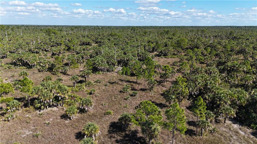 NORTH BELLE MEADE - Land