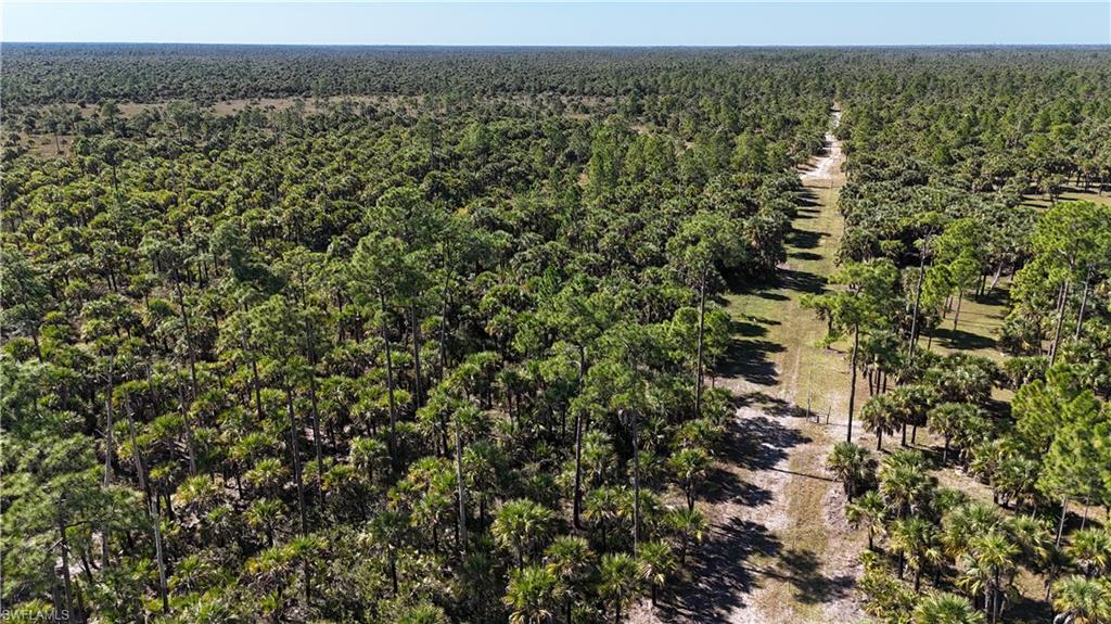 NORTH BELLE MEADE - Land