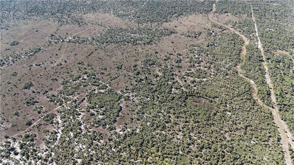 NORTH BELLE MEADE - Land