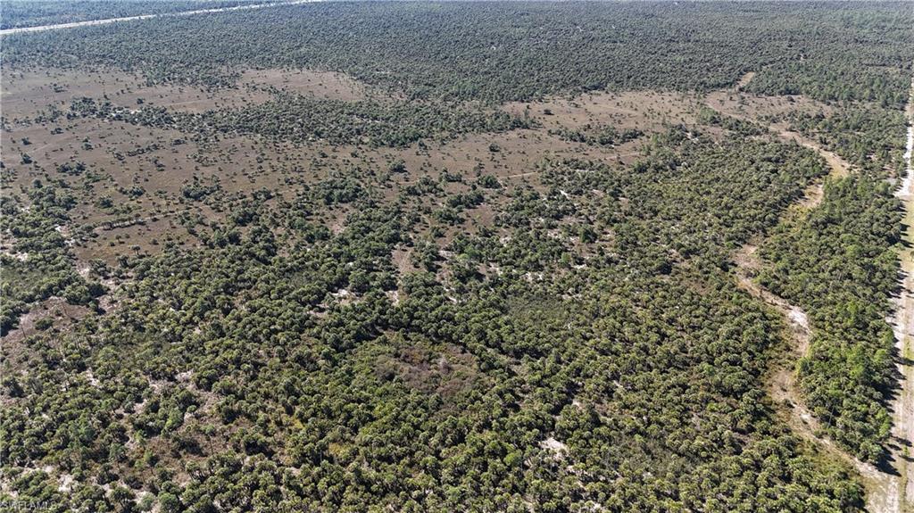 NORTH BELLE MEADE - Land