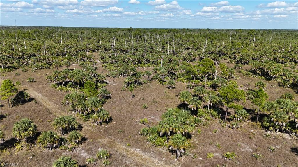 NORTH BELLE MEADE - Land