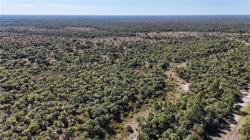 NORTH BELLE MEADE - Land