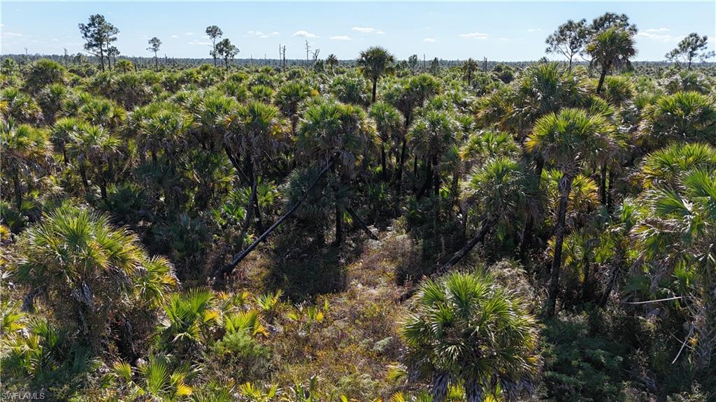 NORTH BELLE MEADE - Land