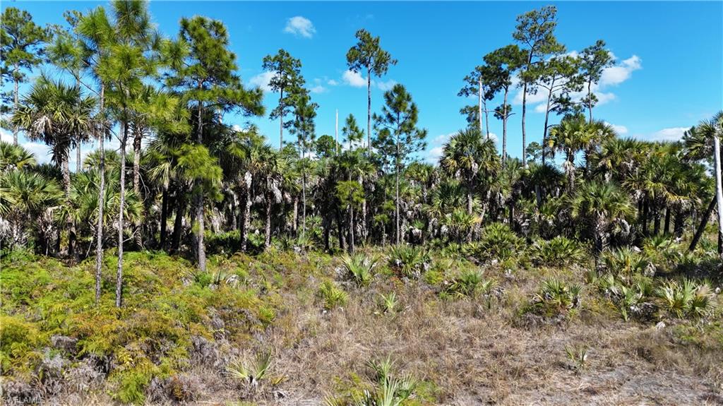 NORTH BELLE MEADE - Land