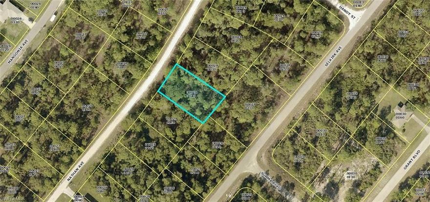 Great opportunity to own a 1/2 acre parcel. Great buildable southeastern exposure lot. This location is outstanding as well! Just off Eisenhower Blvd. and north of State Road 82 this location provides quick access in and out of Lehigh Acres to Fort Myers and all of SW Florida. This parcel can be purchased with the adjacent lot @ 337 Nathan Ave. S MLS#222017329 is also for sale, you can own 1/2 acre or two separate buildable lots, your choice! Buy now and build or hold for future investment. Taxes are LOW!