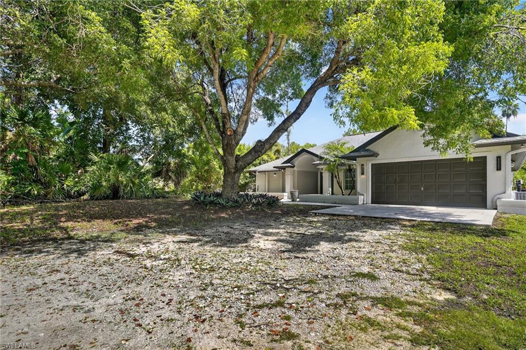 6035 Painted Leaf LN