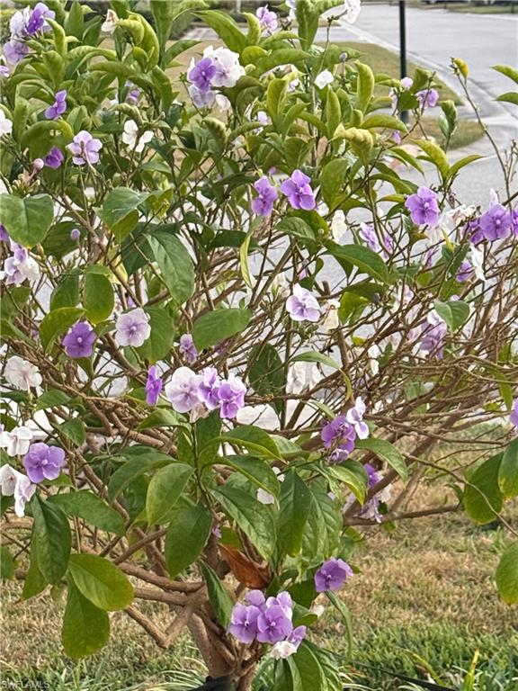 BELL TOWER PARK - Residential