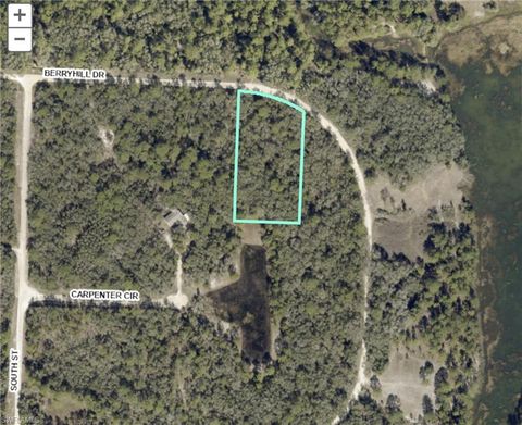 34287 Berryhill DR WEBSTER FL 33597