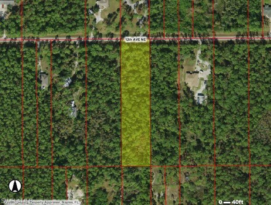 2.27 acres lot in rapidly developing area of Golden Gate Estates. Located between Everglades and DeSoto Blvds,
next to the existing 4244 12th Ave NE and 4142 12th Ave NE homes.