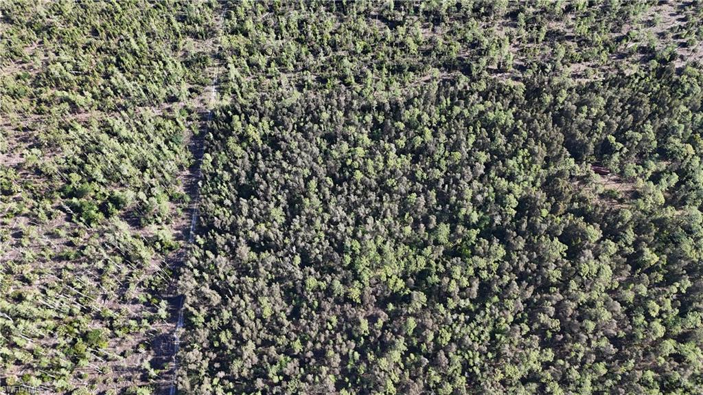 ACREAGE HEADER - Land