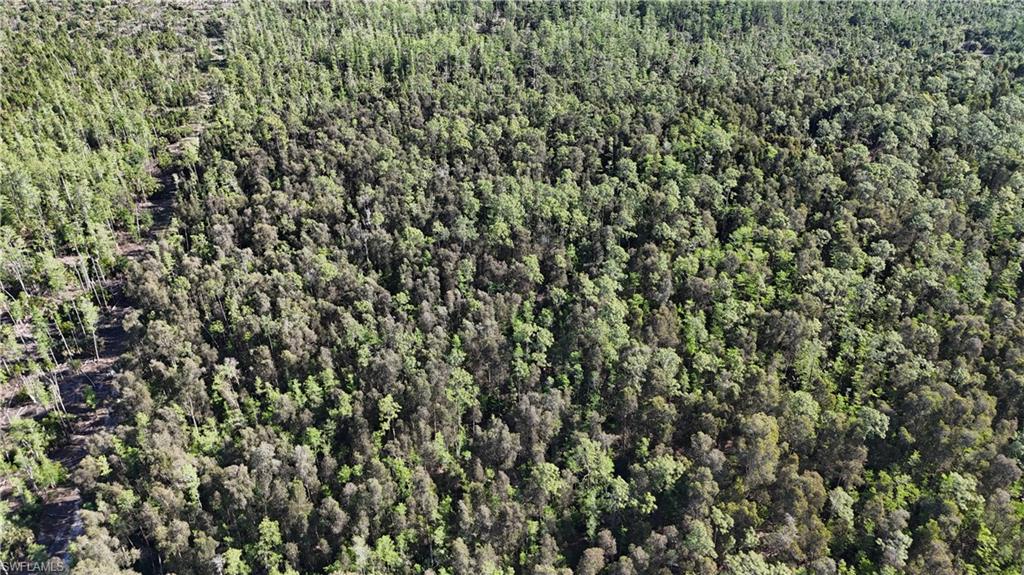 ACREAGE HEADER - Land