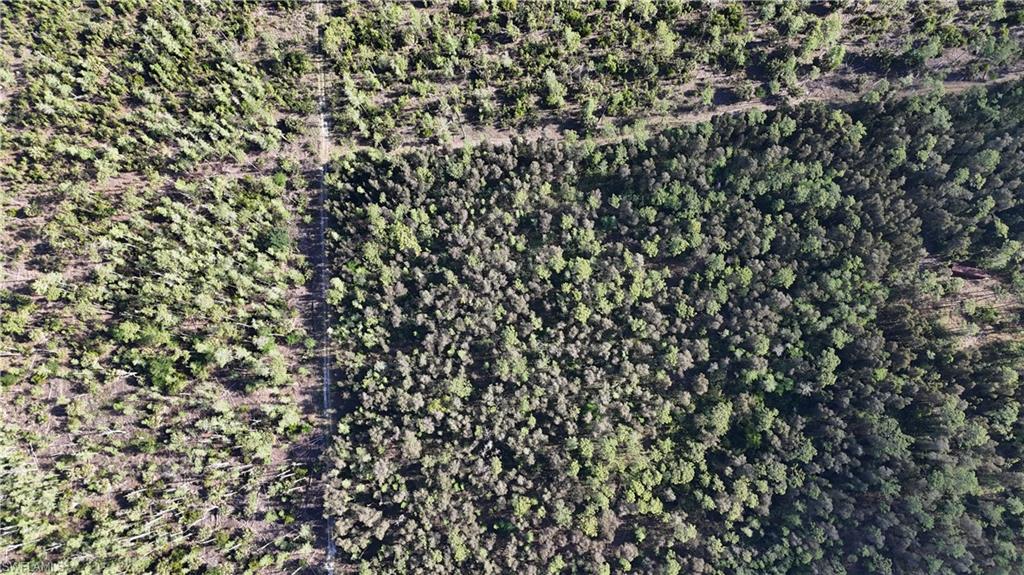 ACREAGE HEADER - Land