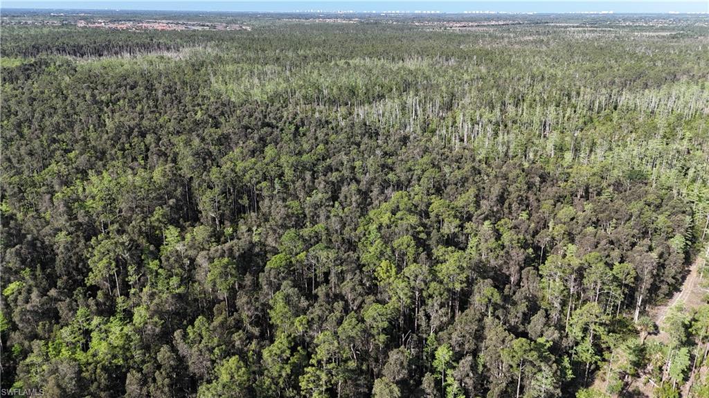 ACREAGE HEADER - Land