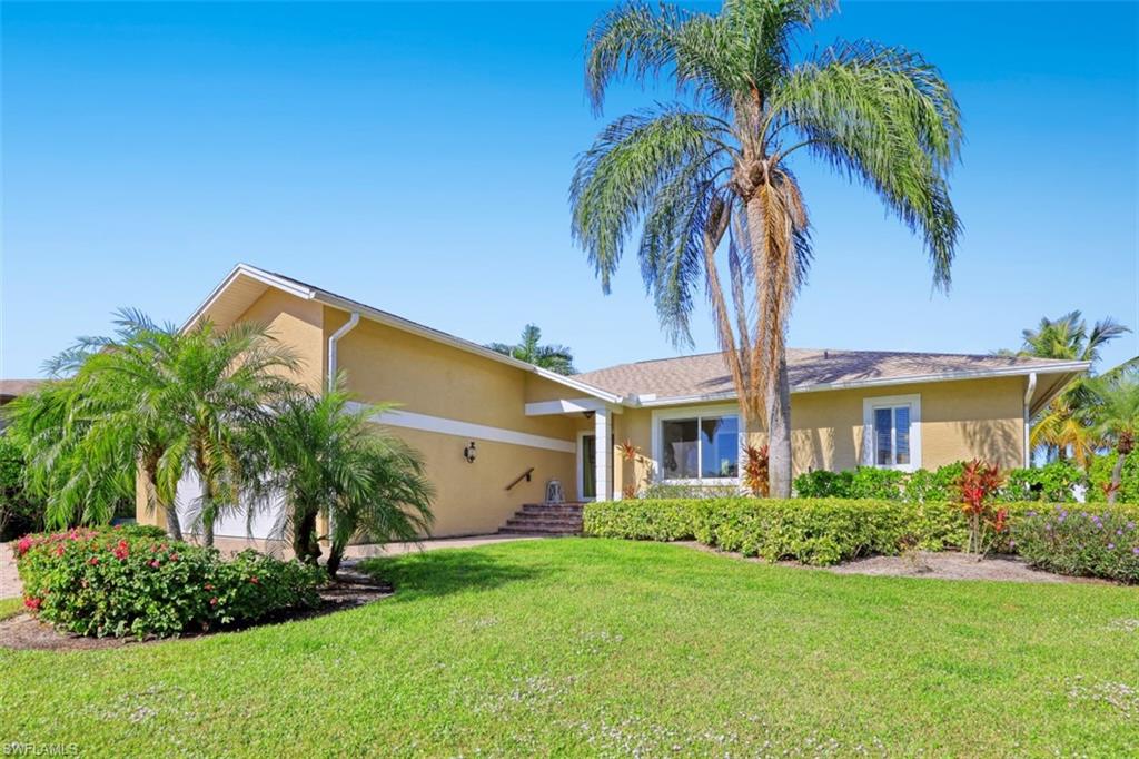 TIGERTAIL - Residential