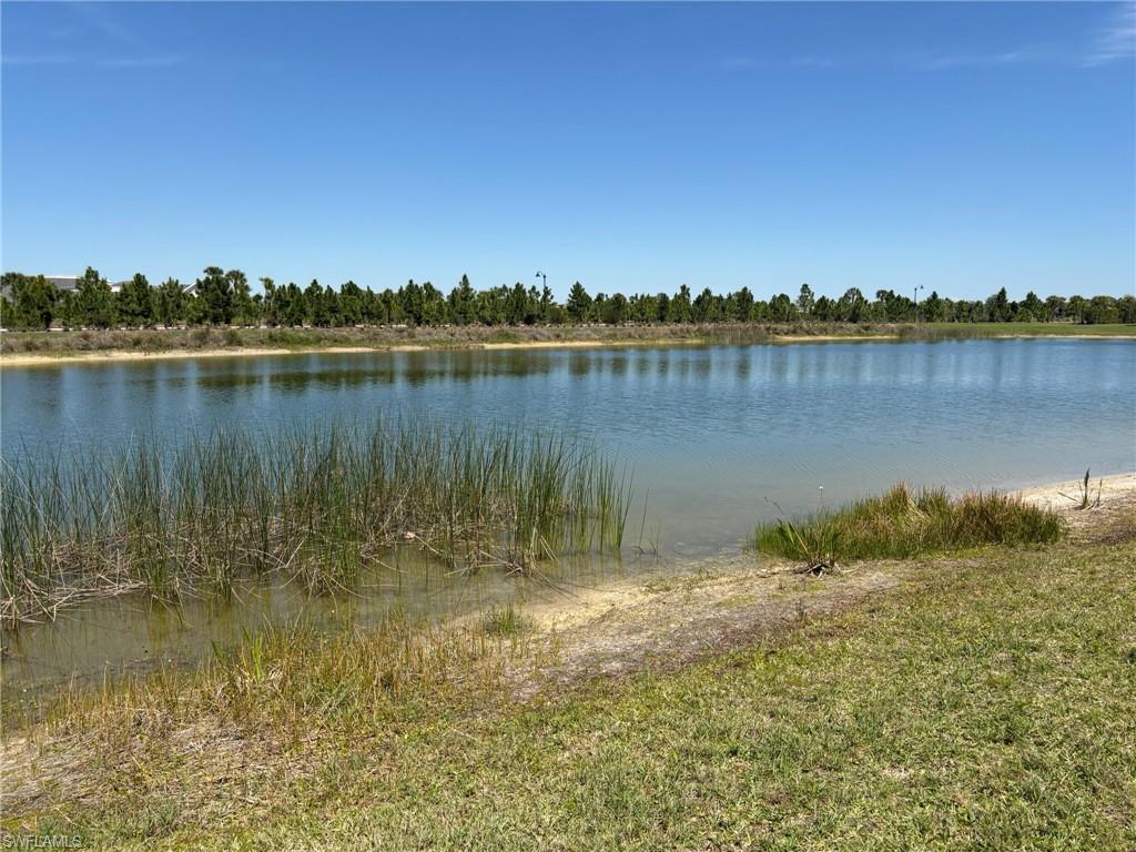 PRESERVE AT BABCOCK RANCH - Residential