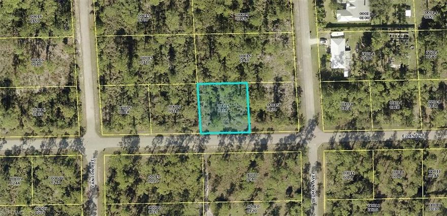 Come build your dream home on this beautiful lot bordering Alva and Lehigh Acres. Quiet area with easy access to  SR 80, I75, Fort Myers, places of worship, shopping, dining and entertainment.