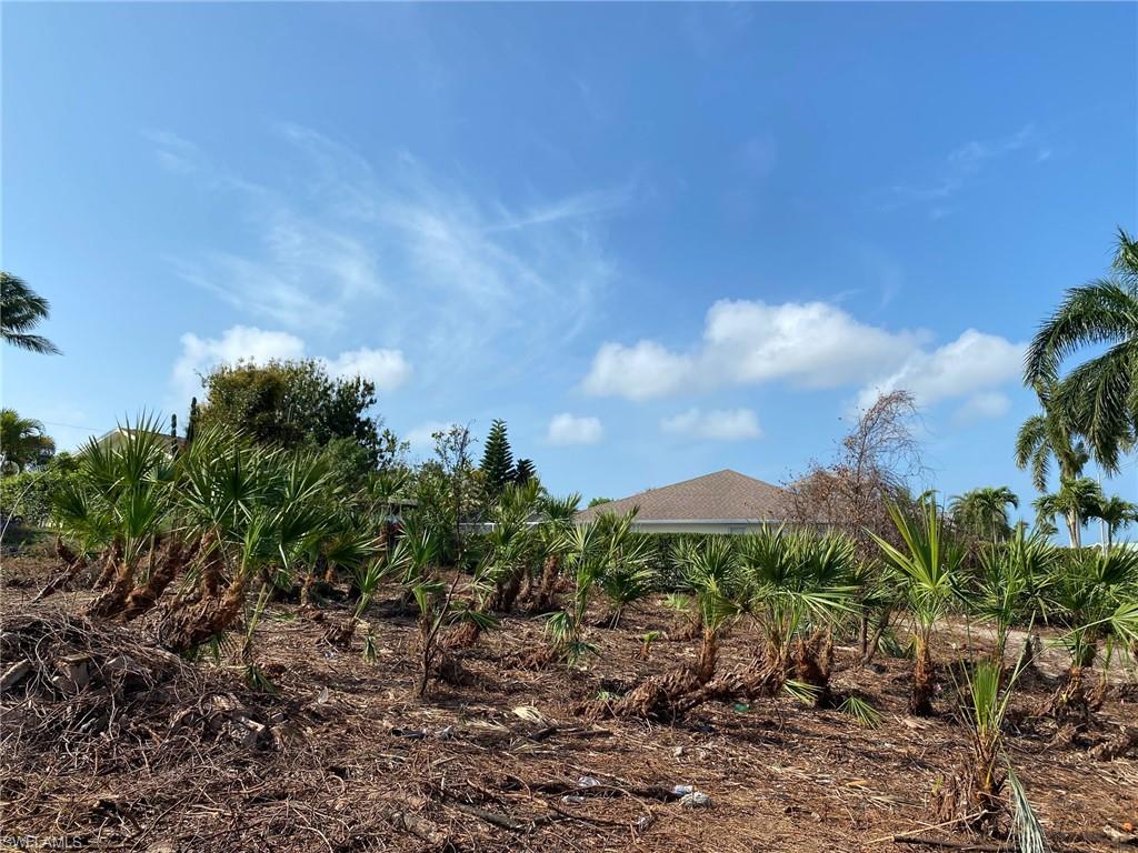 MARCO ISLAND - Land
