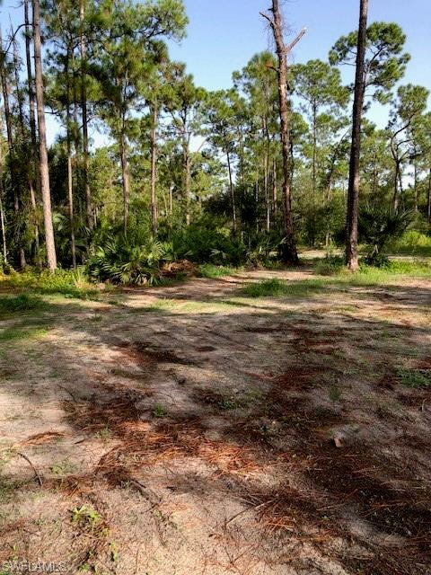 ISLAND OF HAPPINESS - Land