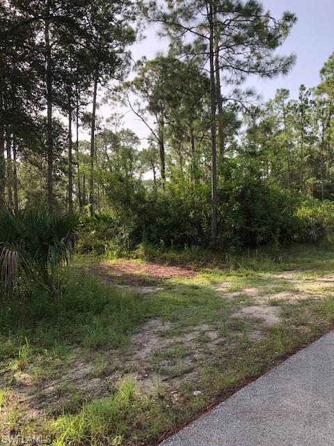 ISLAND OF HAPPINESS - Land