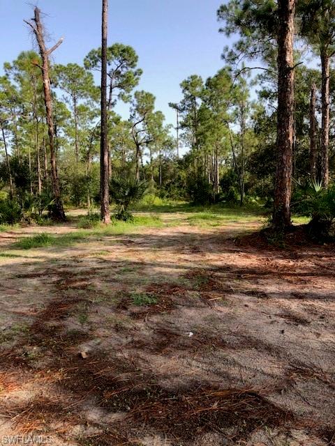 ISLAND OF HAPPINESS - Land