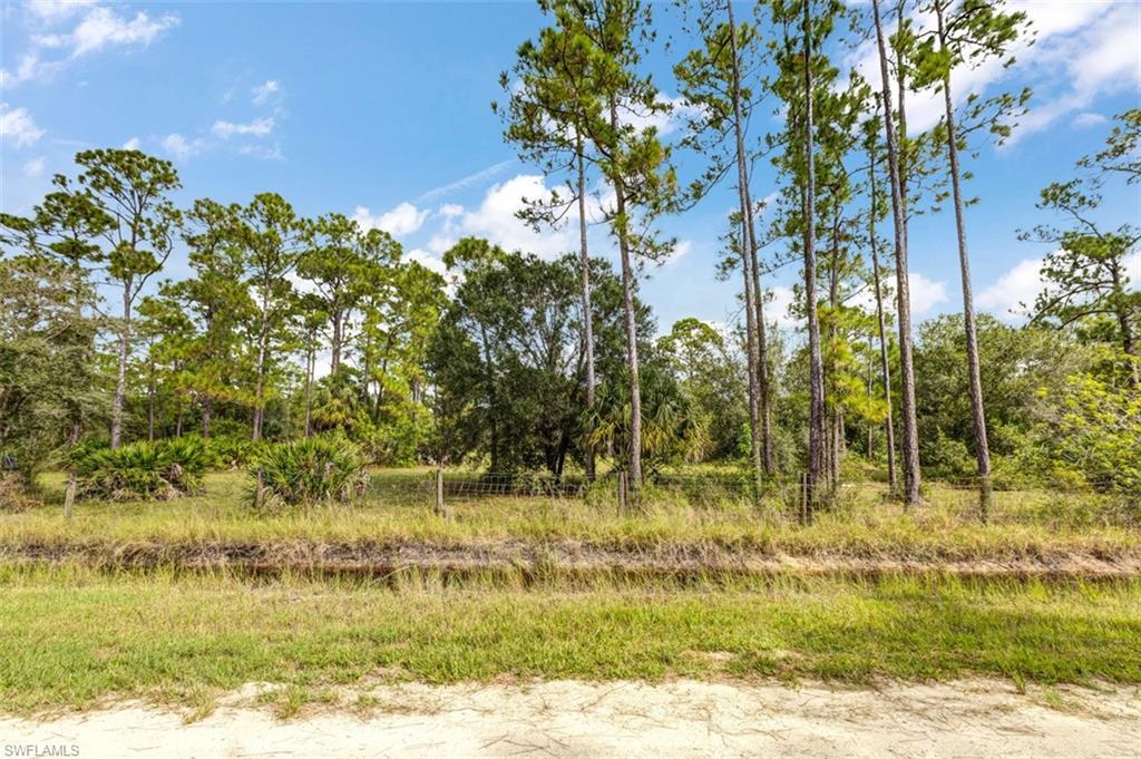 PIONEER PLANTATION - Land