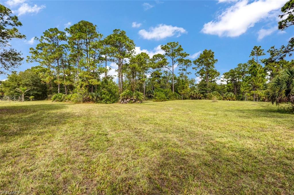 PIONEER PLANTATION - Land