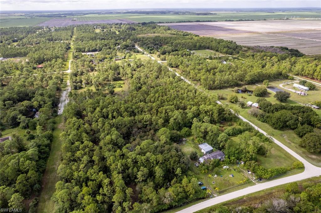 PIONEER PLANTATION - Land