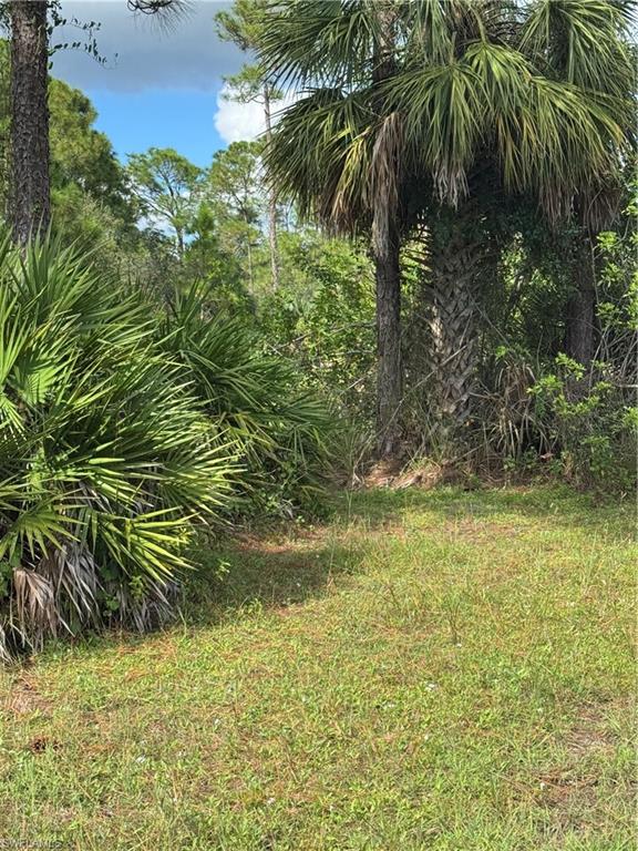 PIONEER PLANTATION - Land