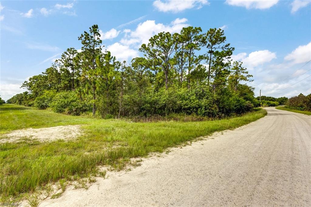 PIONEER PLANTATION - Land