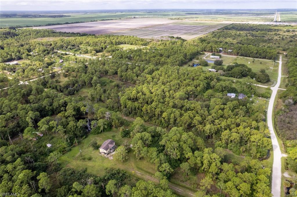 PIONEER PLANTATION - Land