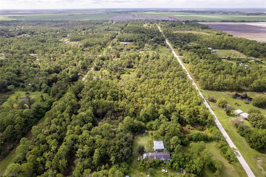 PIONEER PLANTATION - Land