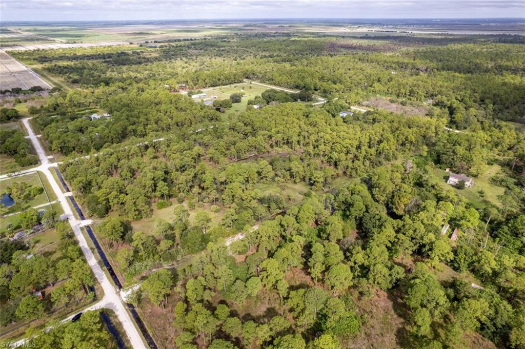 PIONEER PLANTATION - Land