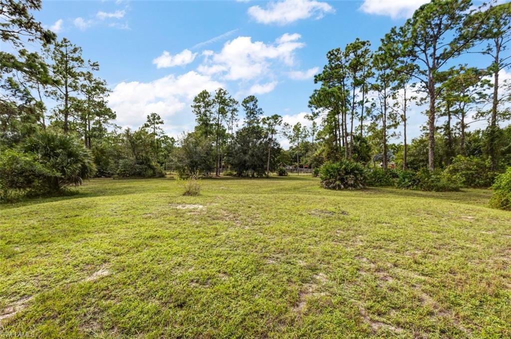 PIONEER PLANTATION - Land