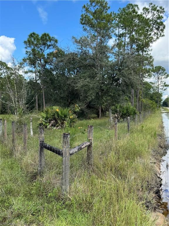 PIONEER PLANTATION - Land