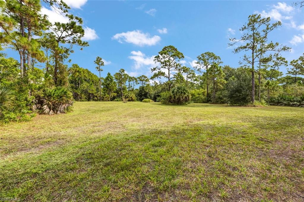 PIONEER PLANTATION - Land